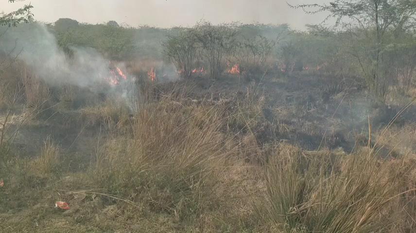 संदिग्ध परिस्थितियों में जंगल में लगी आग,फायर ब्रिगेड ने कड़ी मशक्कत के बाद पाया काबू*

*जंगल के बेजुबान पशु पंछियों को मिली राहत*