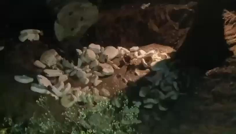 लाखो कीमत का नकली पनीर बरामद, किया नष्ट